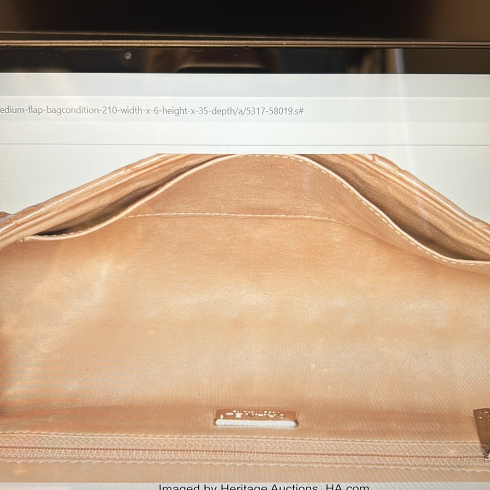 Chanel Beige Python Medium Flap Bag - image 3